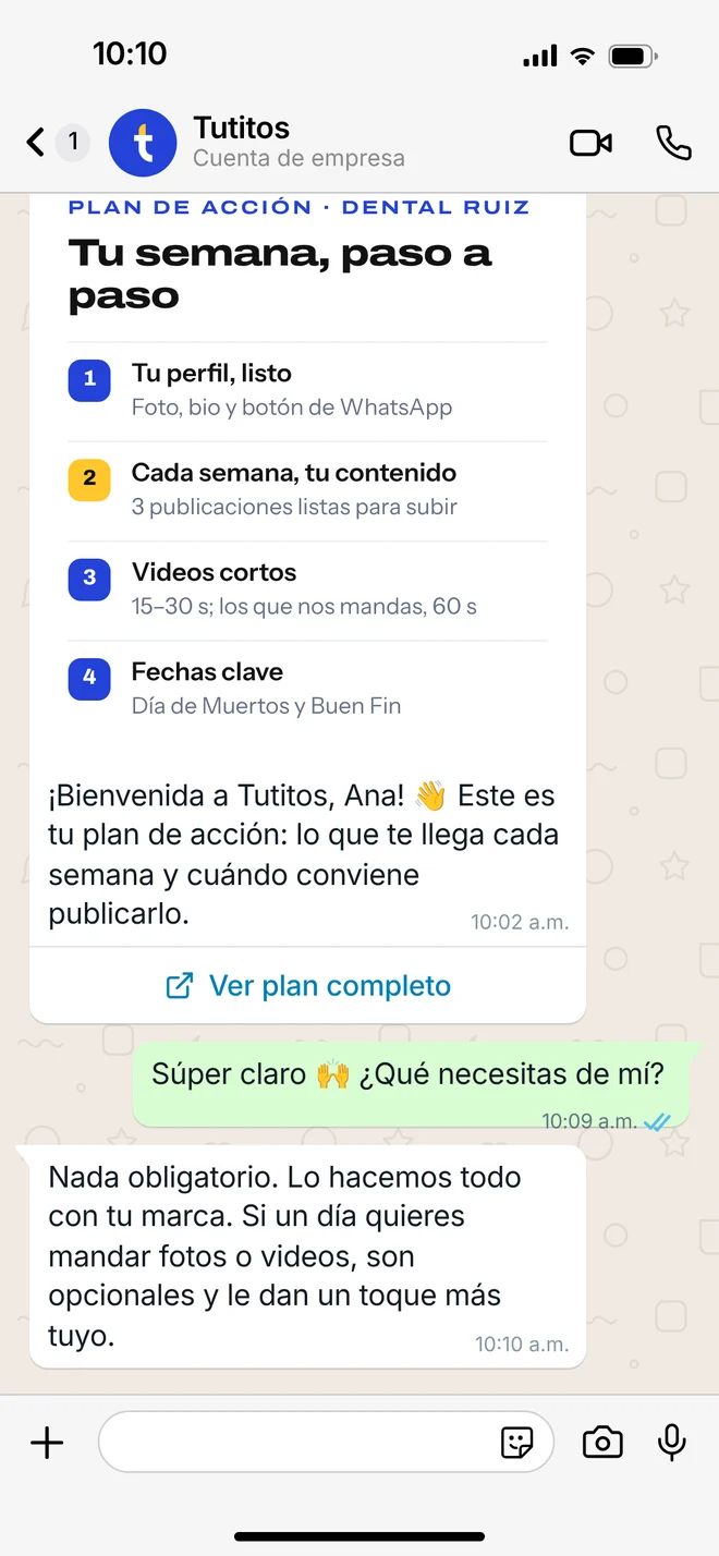 Chat de WhatsApp: llega el plan de acción con lo que recibe cada semana